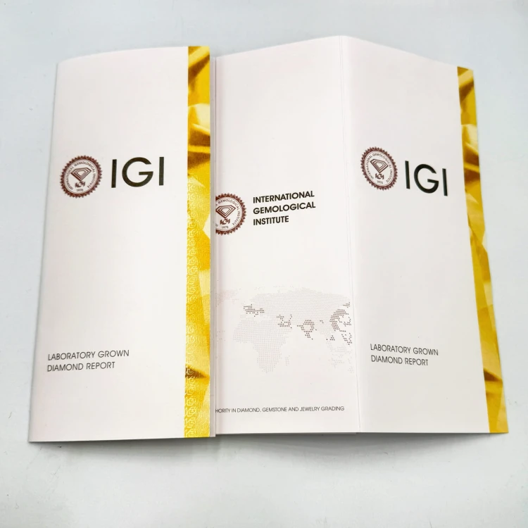 IGI_Certificate