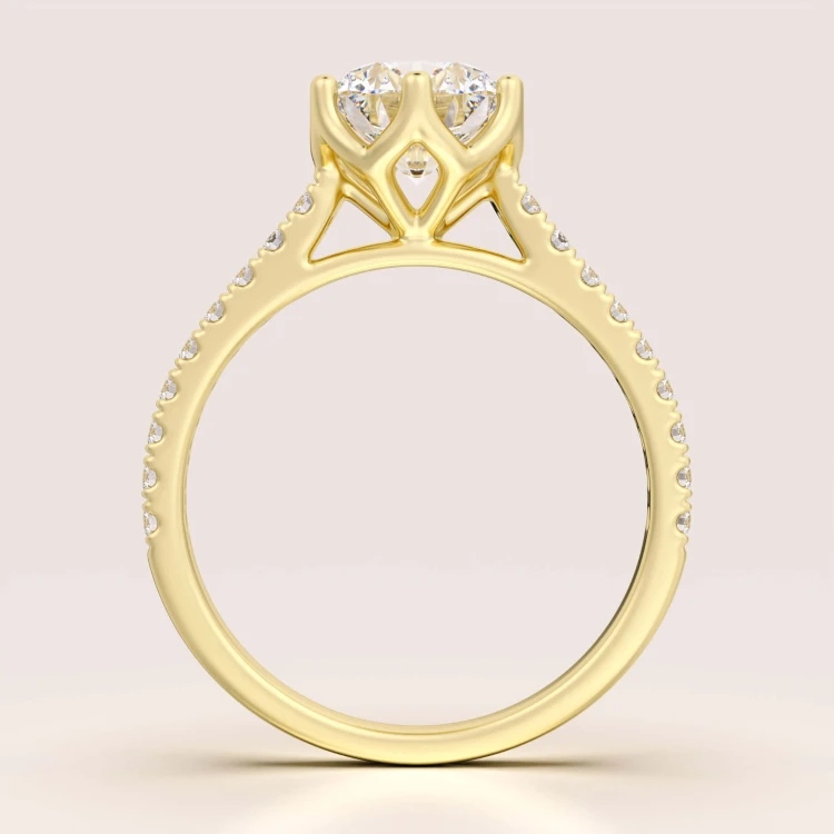 Verlobungsring-Halo-Flora-Moissanit-1,5ct-Brillantschliff-Frontansicht-Gelbgold-Hariets.jpg
