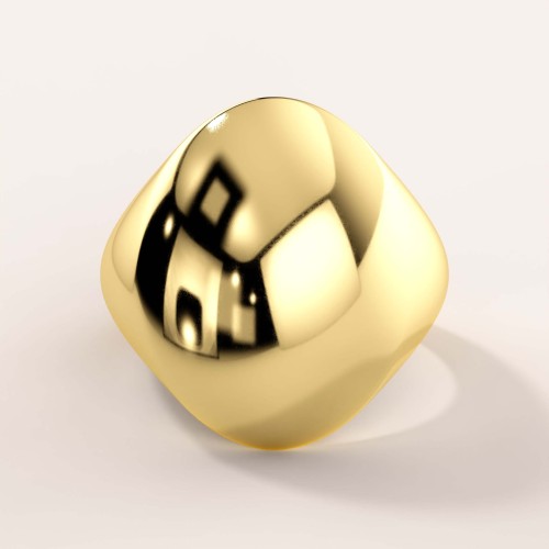 runder-siegelring-oblivion-gelbgold-hariets.jpg