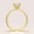 verlobungsring-halo-aria-moissanit-2ct-ovalschlif-vorderseite-gelbgold-hariets.jpg