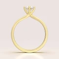 verlobungsring-solitaire-bloom-moissanit-0-6ct-brillantschliff-front-gelbgold-hariets.jpg